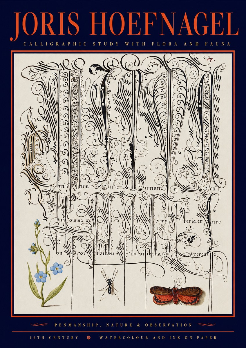 Joris Hoefnagel Calligraphic Study with Flora and Fauna No2 - Poster