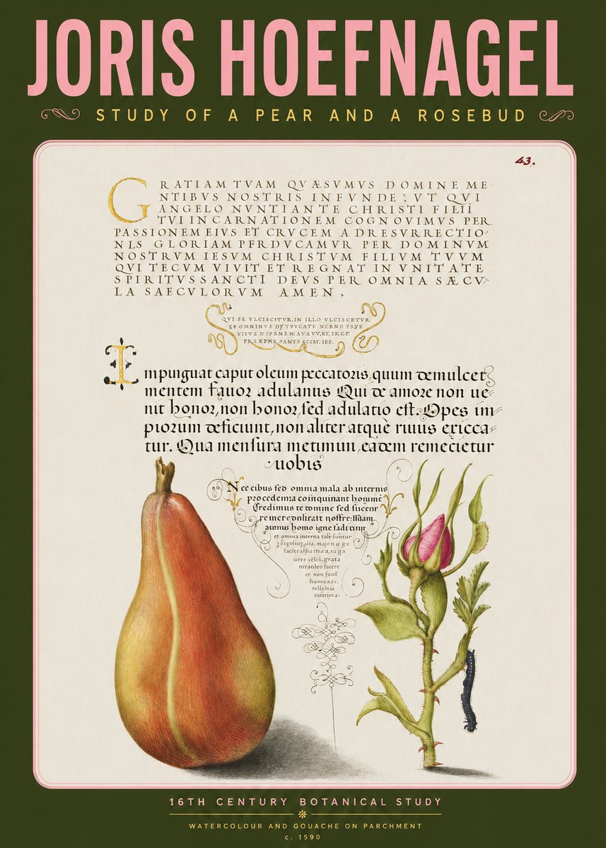 Joris Hoefnagel Aphorisms with Pear and Rose No4 - Poster