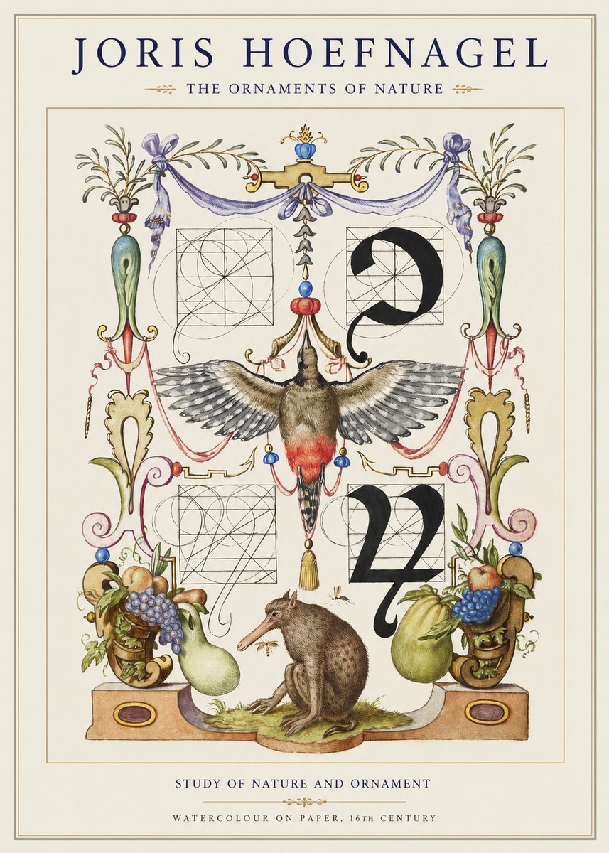 Joris Hoefnagel Study of Nature and Ornament No1 - Poster