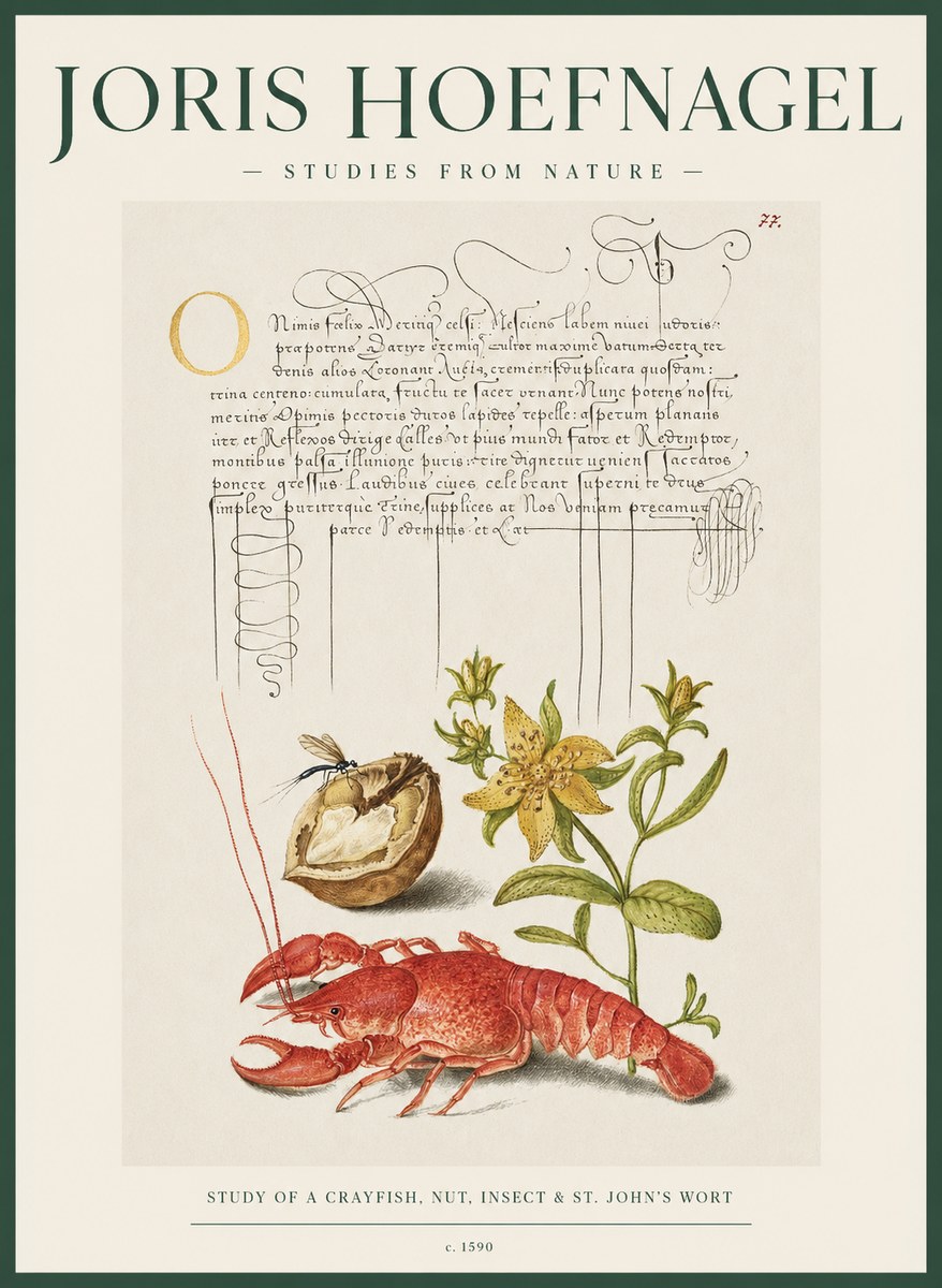 Joris Hoefnagel Studies from Nature No2 - Poster
