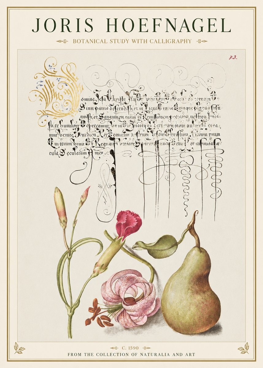 Joris Hoefnagel Botanical Study with Calligraphy II No1 - Poster