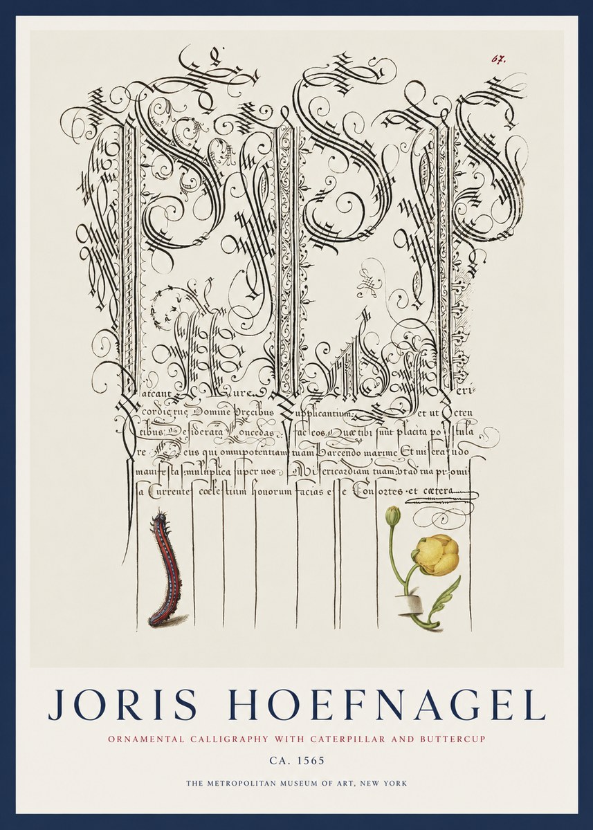Joris Hoefnagel Ornamental Calligraphy with Caterpillar and Buttercup No1 - Poster