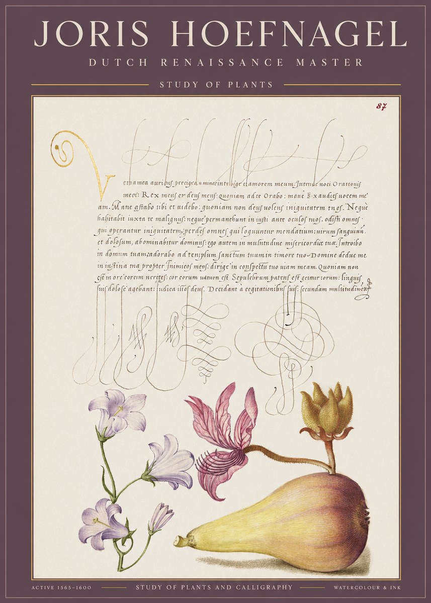 Joris Hoefnagel Study of Plants II No1 - Poster
