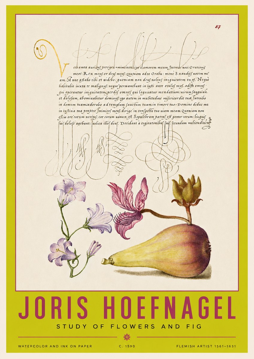 Joris Hoefnagel Study of Plants II No4 - Poster