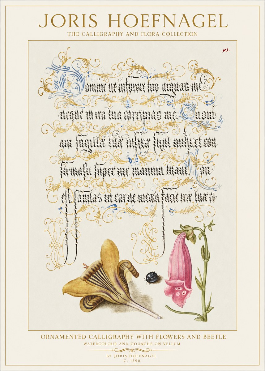 Joris Hoefnagel Ornamented Calligraphy with Flowers and Beetle No1 - Poster