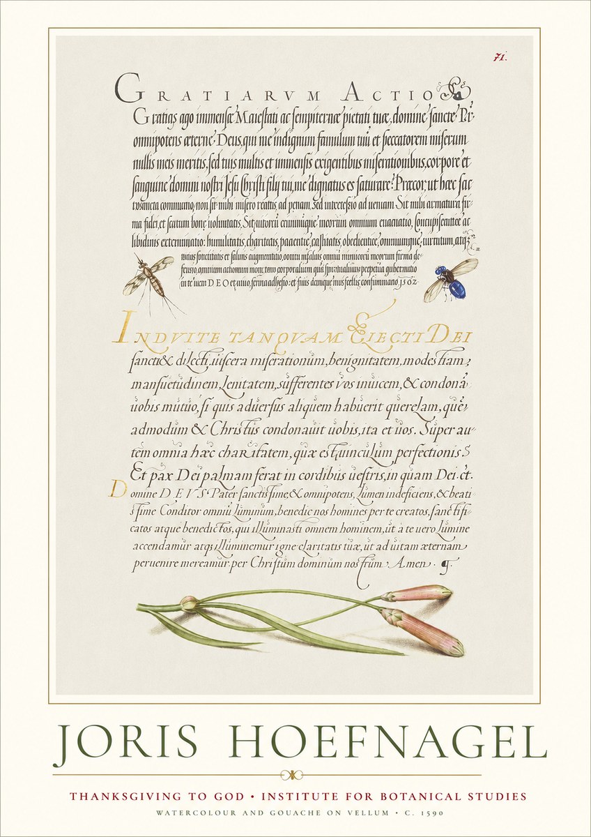 Joris Hoefnagel Thanksgiving to God • Institute for Botanical Studies No1 - Poster