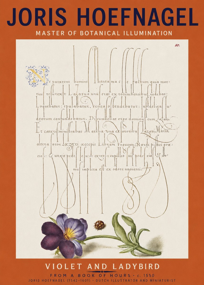 Joris Hoefnagel Violet and Ladybird No2 - Poster
