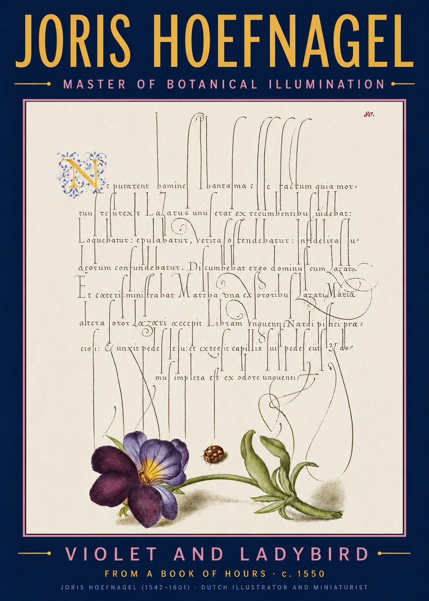 Joris Hoefnagel Violet and Ladybird No5 - Poster