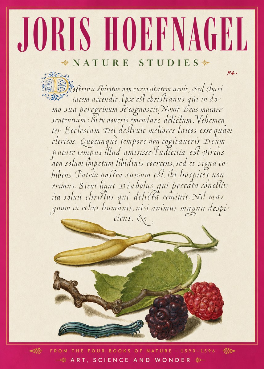 Joris Hoefnagel Nature Studies No6 - Poster