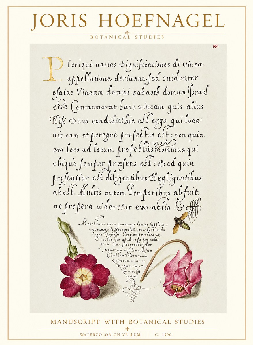 Joris Hoefnagel Manuscript with Botanical Studies No1 - Poster