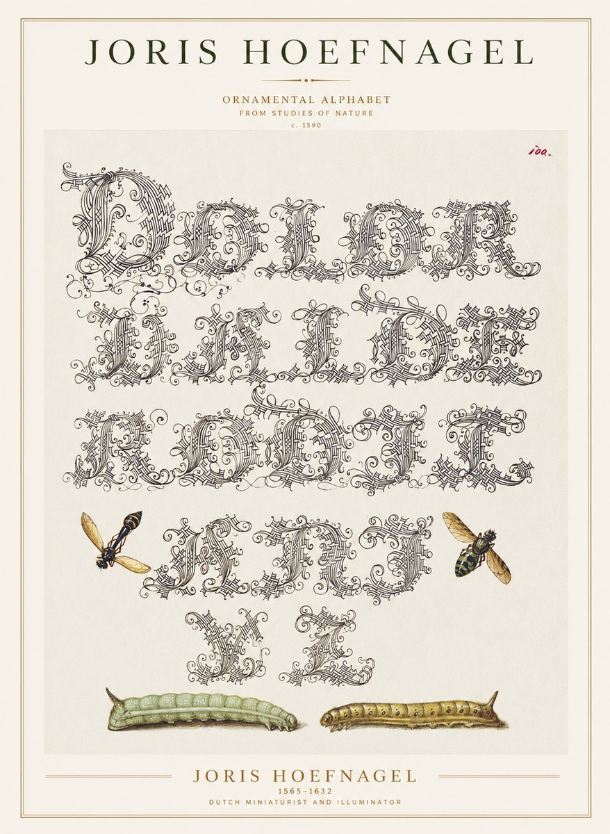 Joris Hoefnagel Ornamental Alphabet from Studies of Nature No1 - Poster
