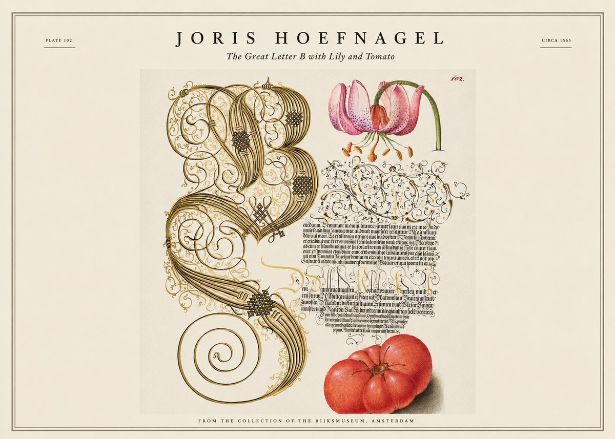 Joris Hoefnagel The Great Letter B with Lily and Tomato No1 - Poster