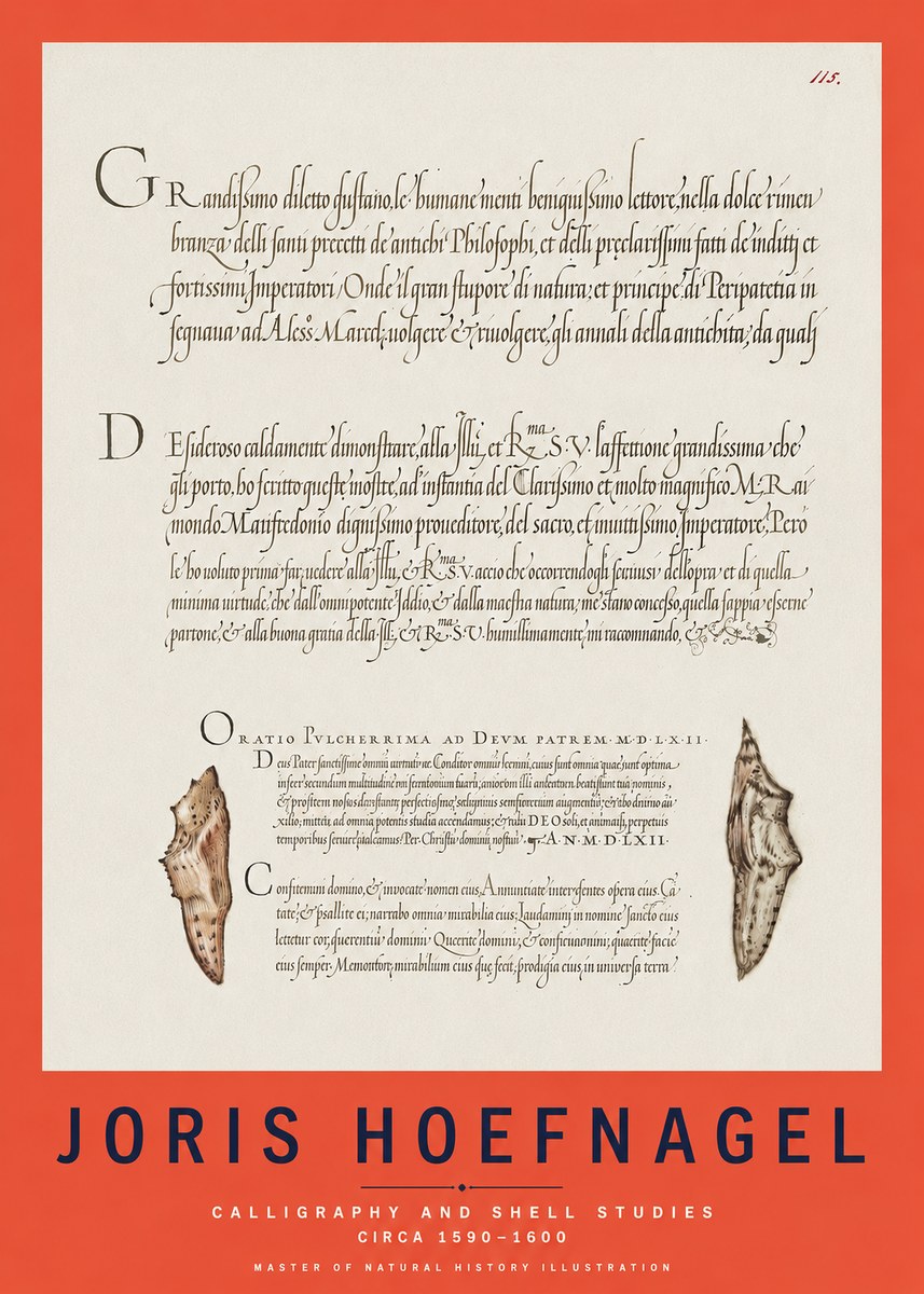 Joris Hoefnagel Study of Shells and Calligraphy No3 - Poster