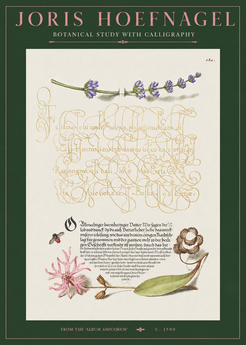 Joris Hoefnagel Botanical Study with Calligraphy IV No2 - Poster