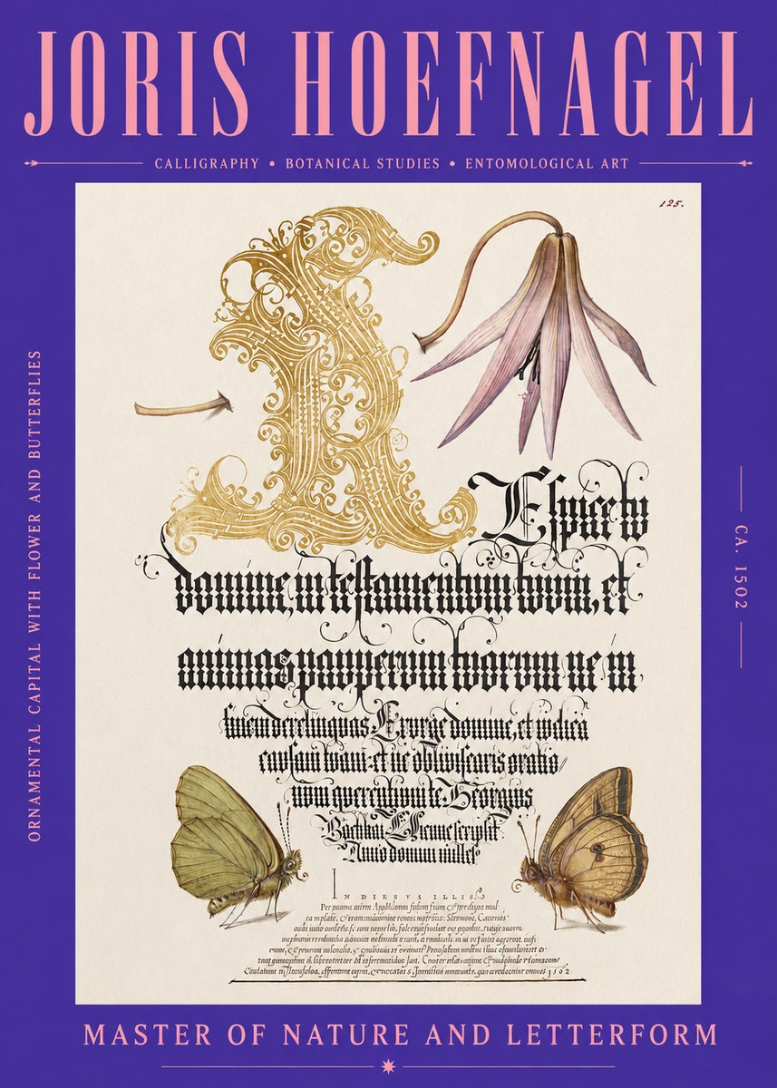 Joris Hoefnagel Ornamental Capital with Flower and Butterflies No2 - Poster
