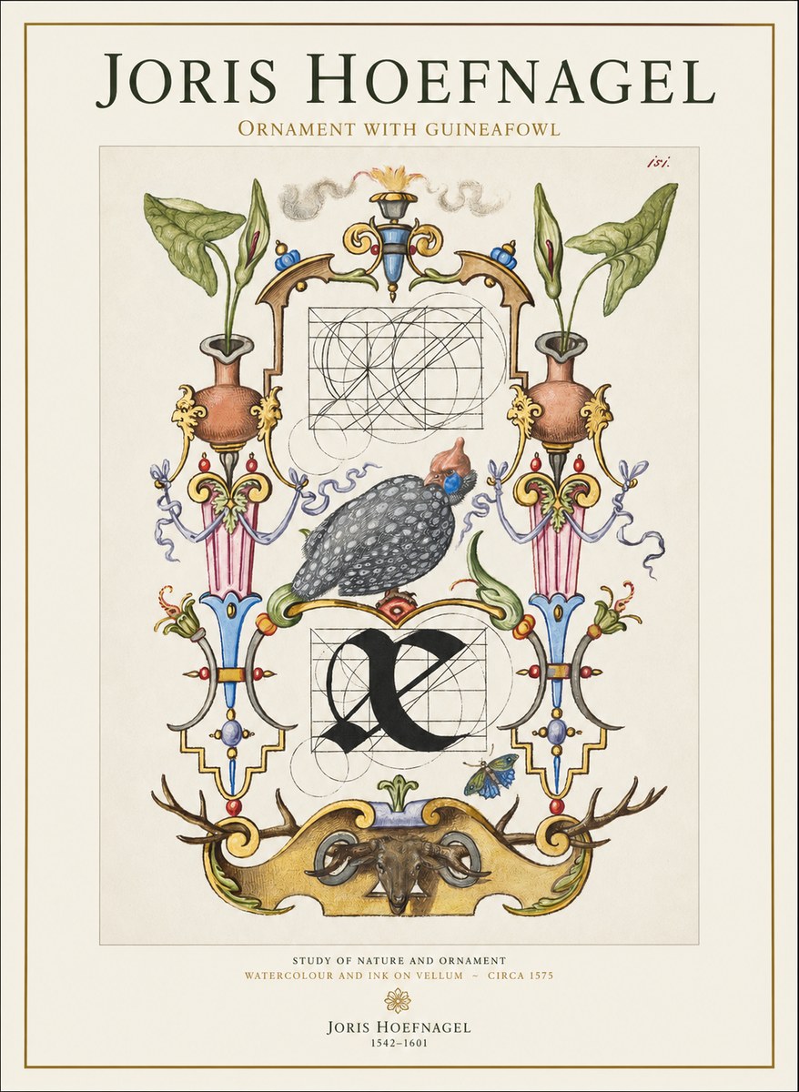Joris Hoefnagel Ornament with Guineafowl No1 - Poster