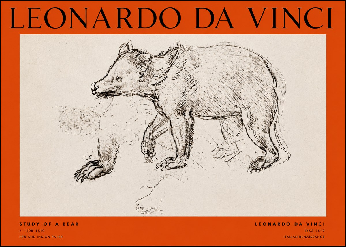 Leonardo da Vinci Study of a Bear No2 - Poster