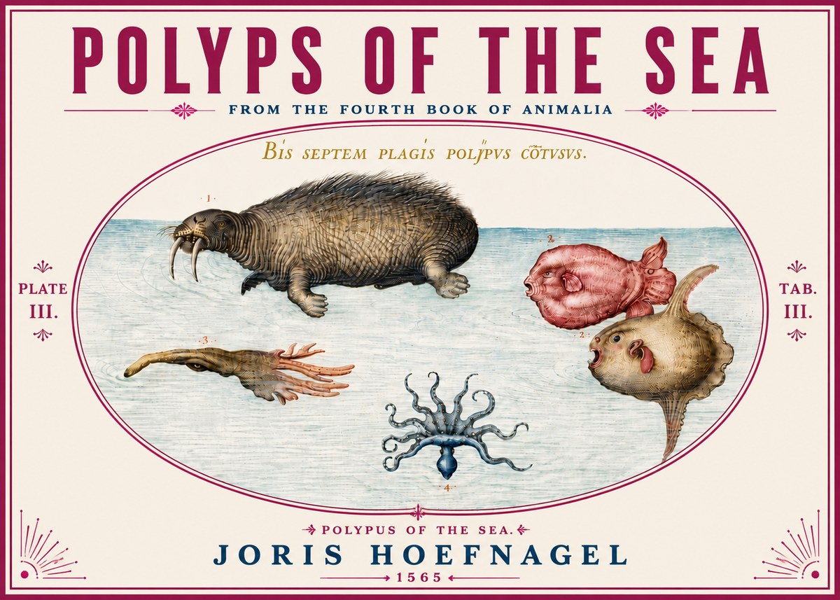 Joris Hoefnagel Polyps of the Sea No6 - Poster