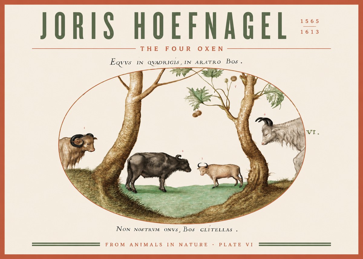 Joris Hoefnagel The Four Oxen No3 - Poster