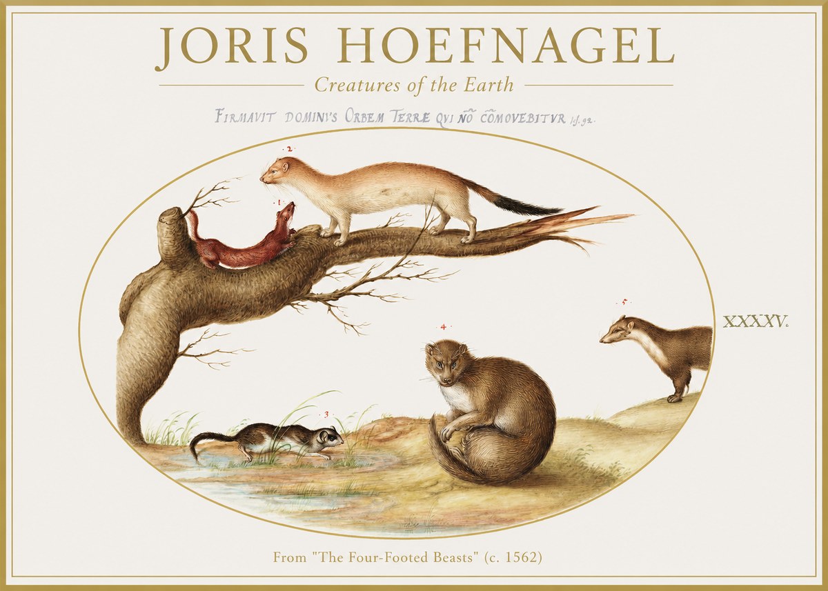 Joris Hoefnagel Creatures of the Earth I No1 - Poster