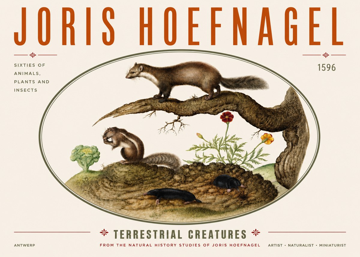 Joris Hoefnagel Terrestrial Creatures No3 - Poster