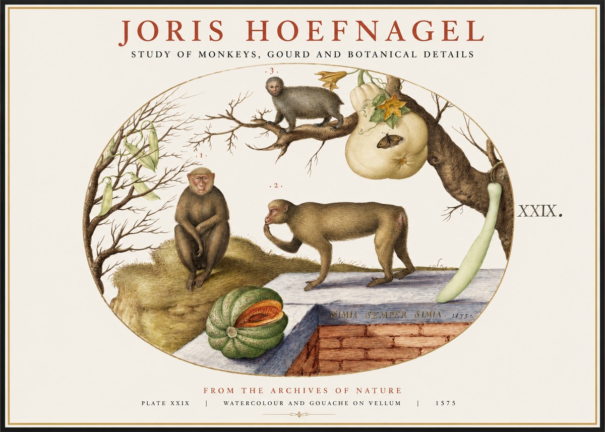 Joris Hoefnagel But Always a Monkey, Always a Monkey. Plate Xxix No2 - Poster