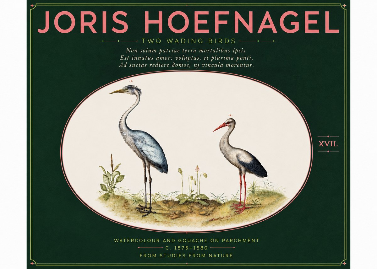 Joris Hoefnagel Study of Two Cranes No6 - Poster