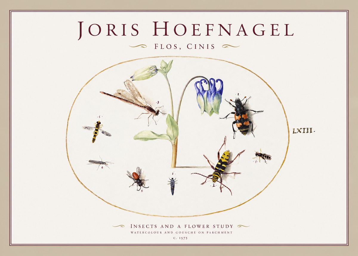 Joris Hoefnagel Insects and a Flower Study No1 - Poster