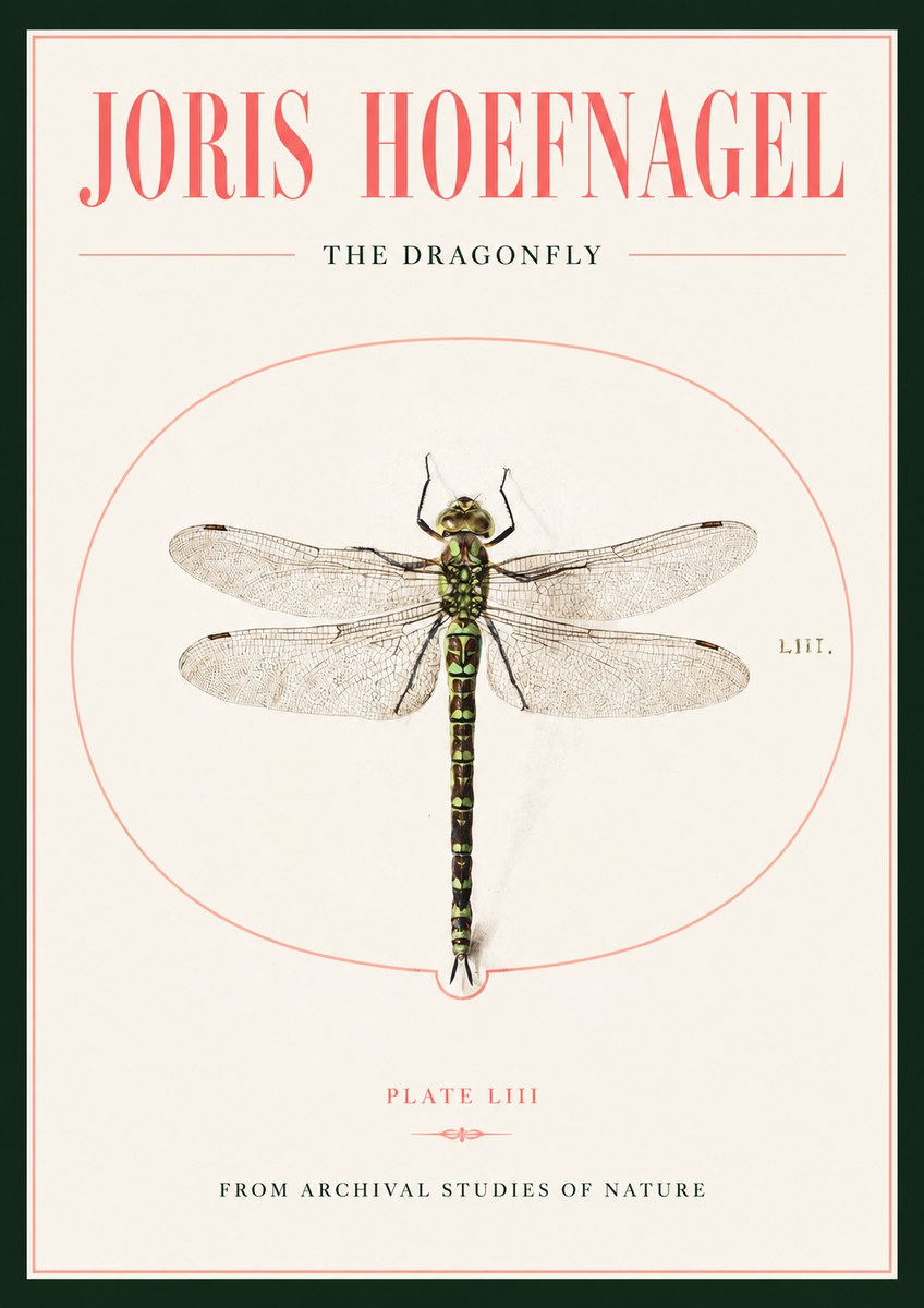 Joris Hoefnagel The Dragonfly No2 - Poster
