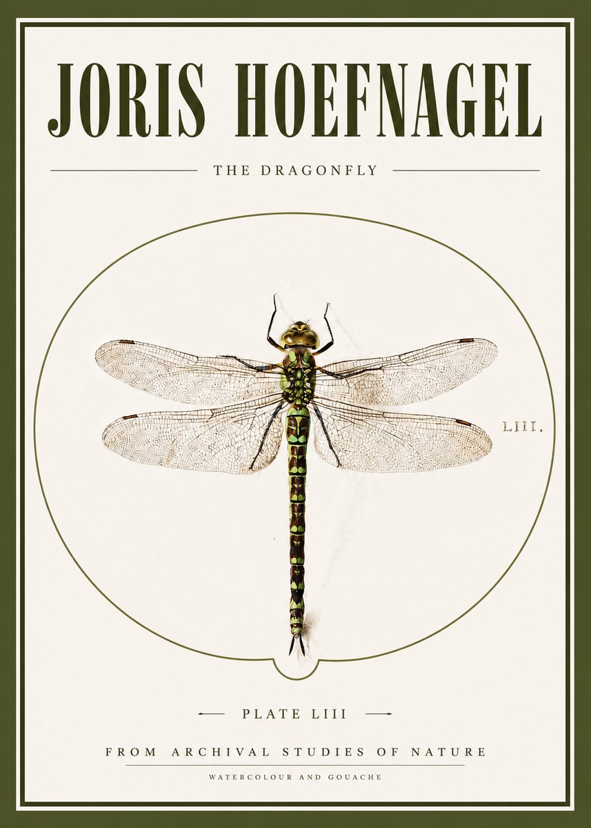 Joris Hoefnagel The Dragonfly No3 - Poster