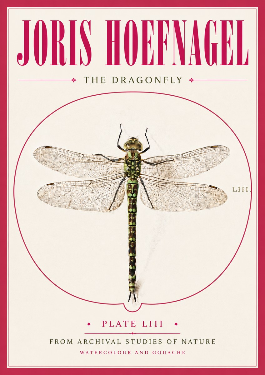 Joris Hoefnagel The Dragonfly No5 - Poster