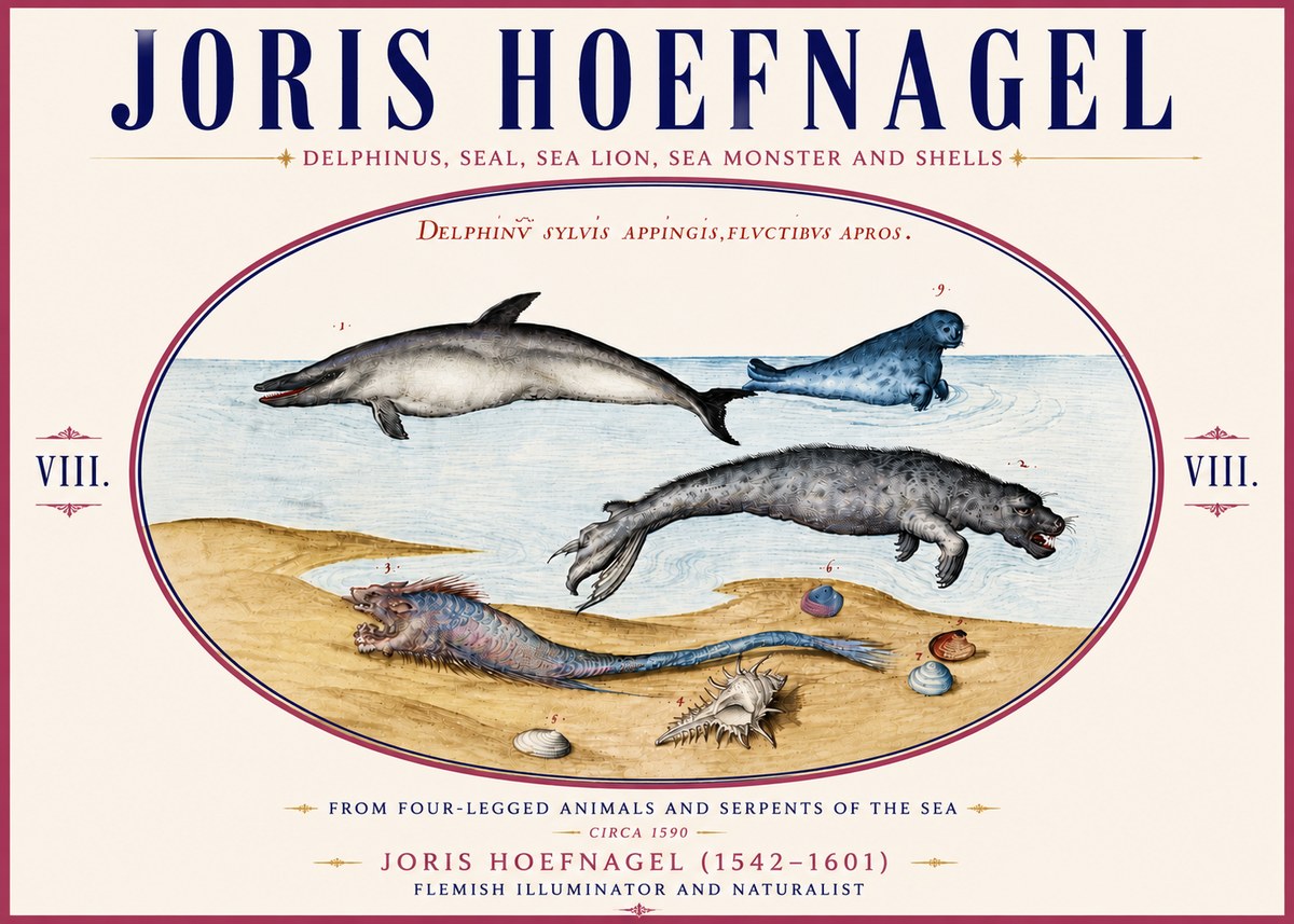 Joris Hoefnagel Delphinus, Seal, Sea Lion, Sea Monster and Shells No6 - Poster