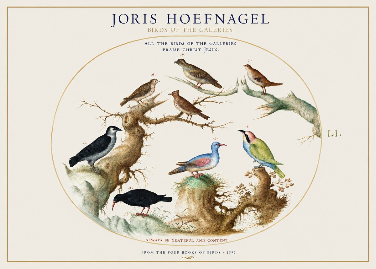 Joris Hoefnagel Birds of the Galeries No1 - Poster
