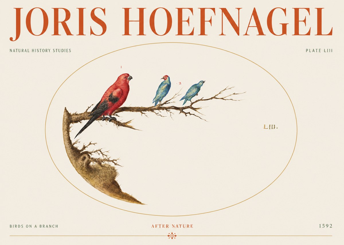 Joris Hoefnagel Birds on a Branch No5 - Poster