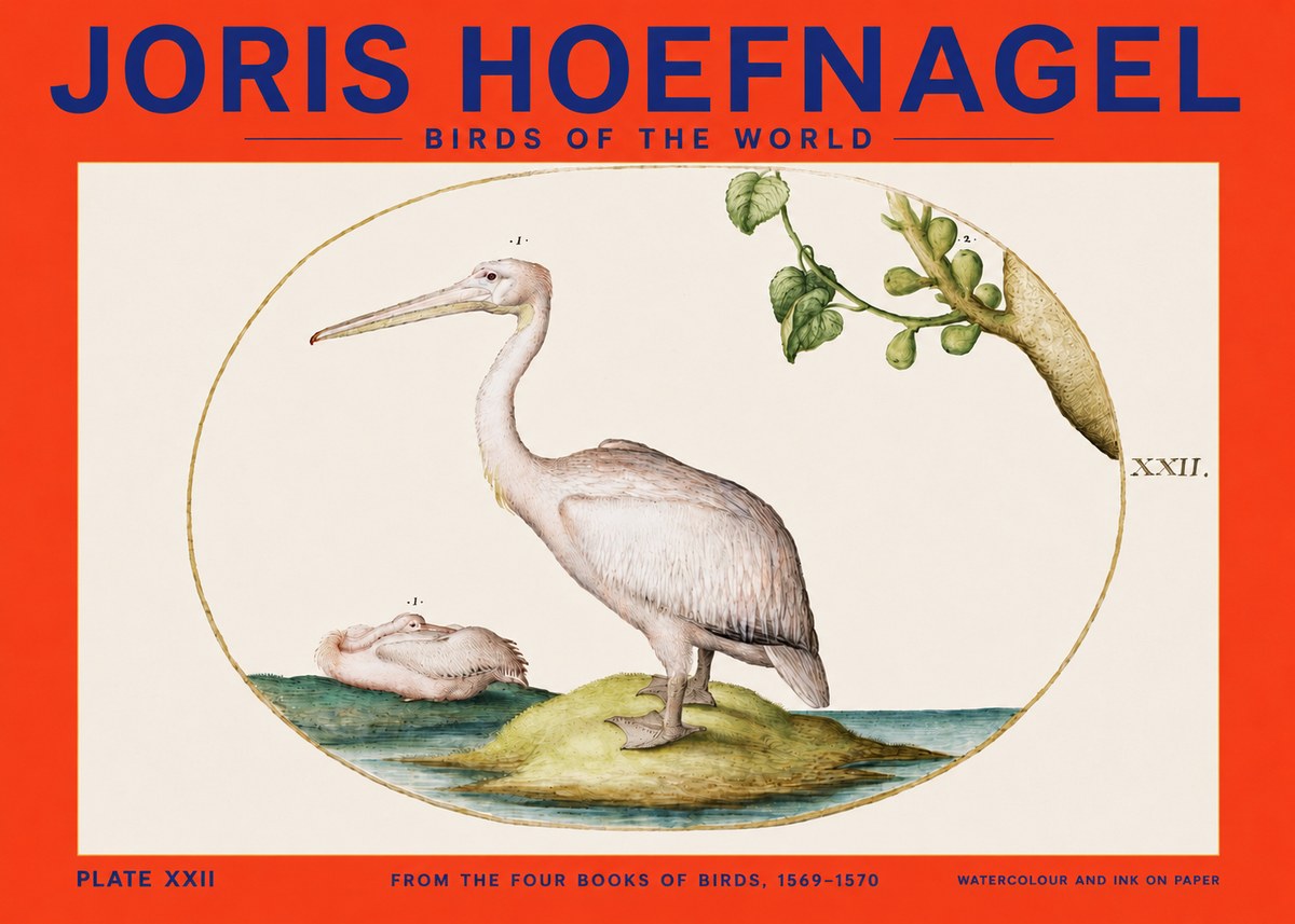 Joris Hoefnagel Plate Xxii No4 - Poster