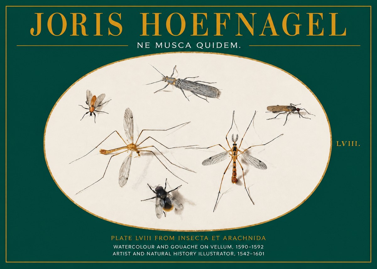 Joris Hoefnagel Plate Lviii from Insecta Et Arachnida No2 - Poster