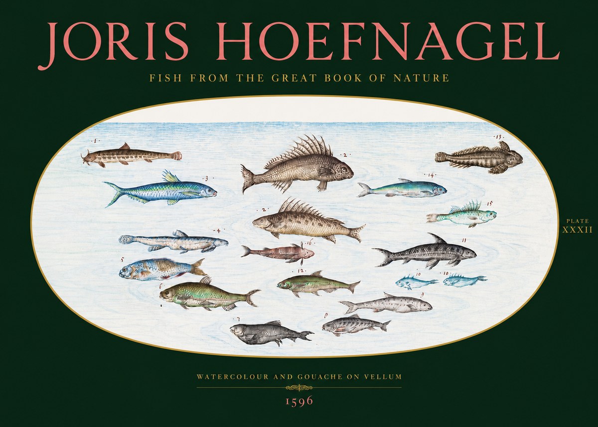 Joris Hoefnagel Fish from the Great Book of Nature No2 - Poster