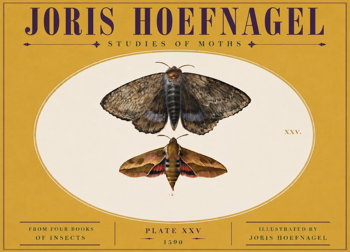 Joris Hoefnagel Studies of Moths I No5 - Poster