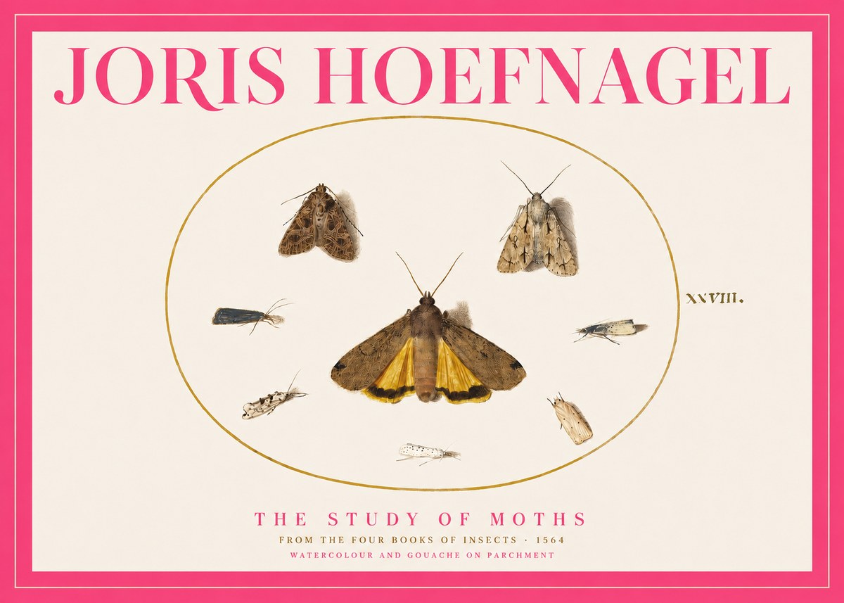 Joris Hoefnagel Study of Moths and Insects No5 - Poster