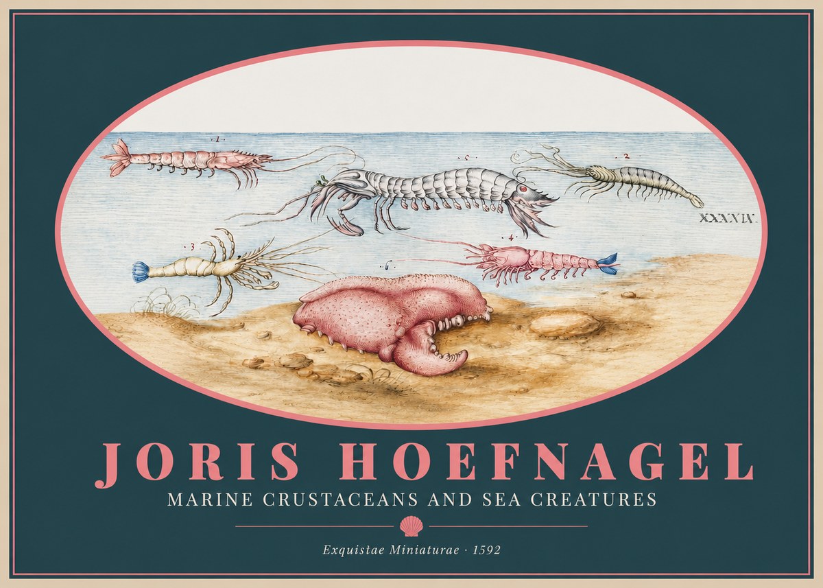 Joris Hoefnagel Marine Crustaceans and Sea Creature No2 - Poster