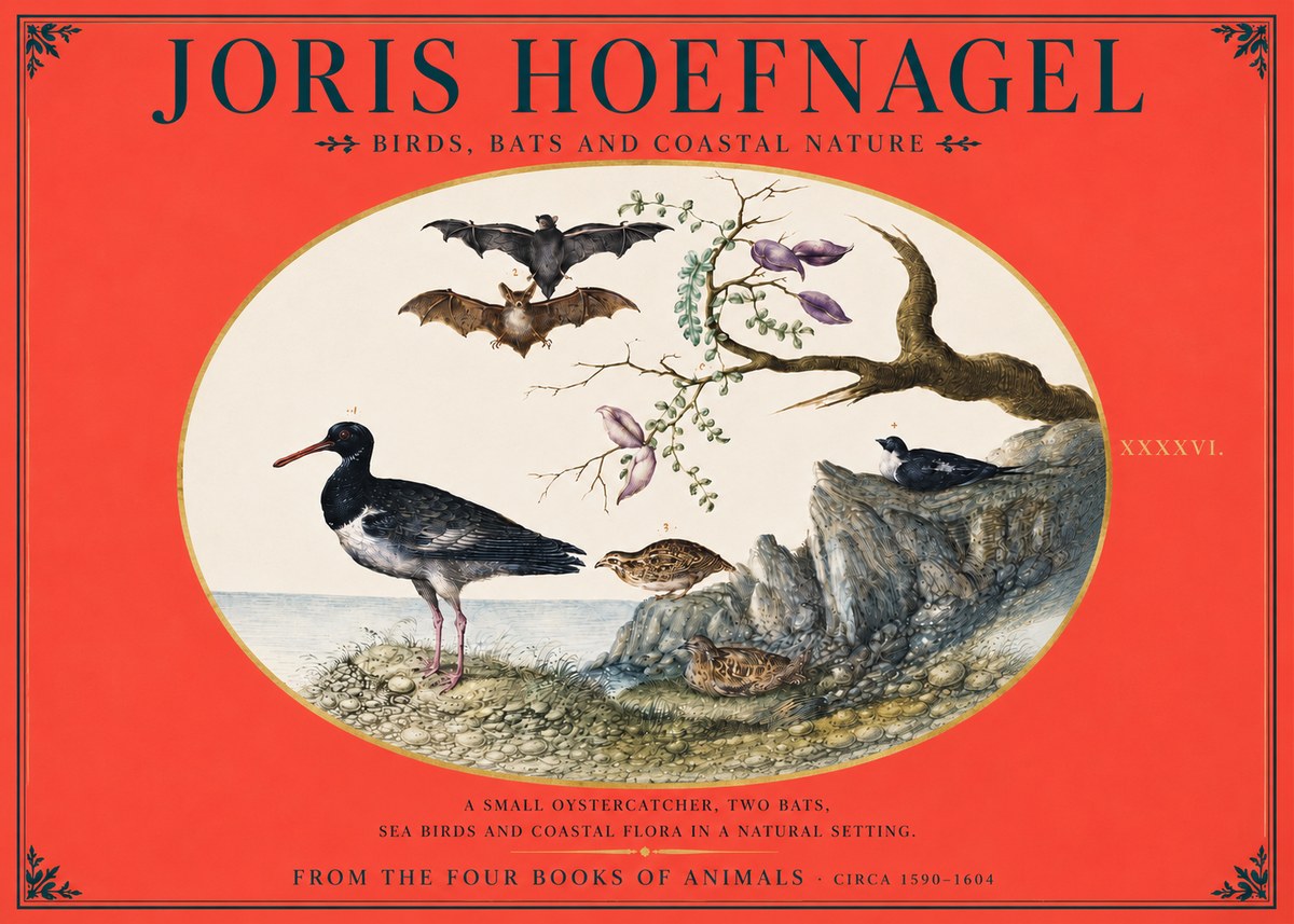 Joris Hoefnagel Birds, Bats and Coastal Nature No4 - Poster