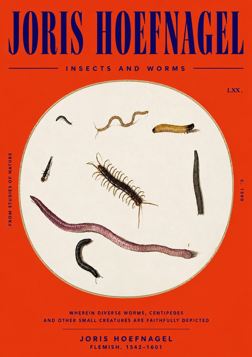 Joris Hoefnagel Creatures of the Earth II No6 - Poster
