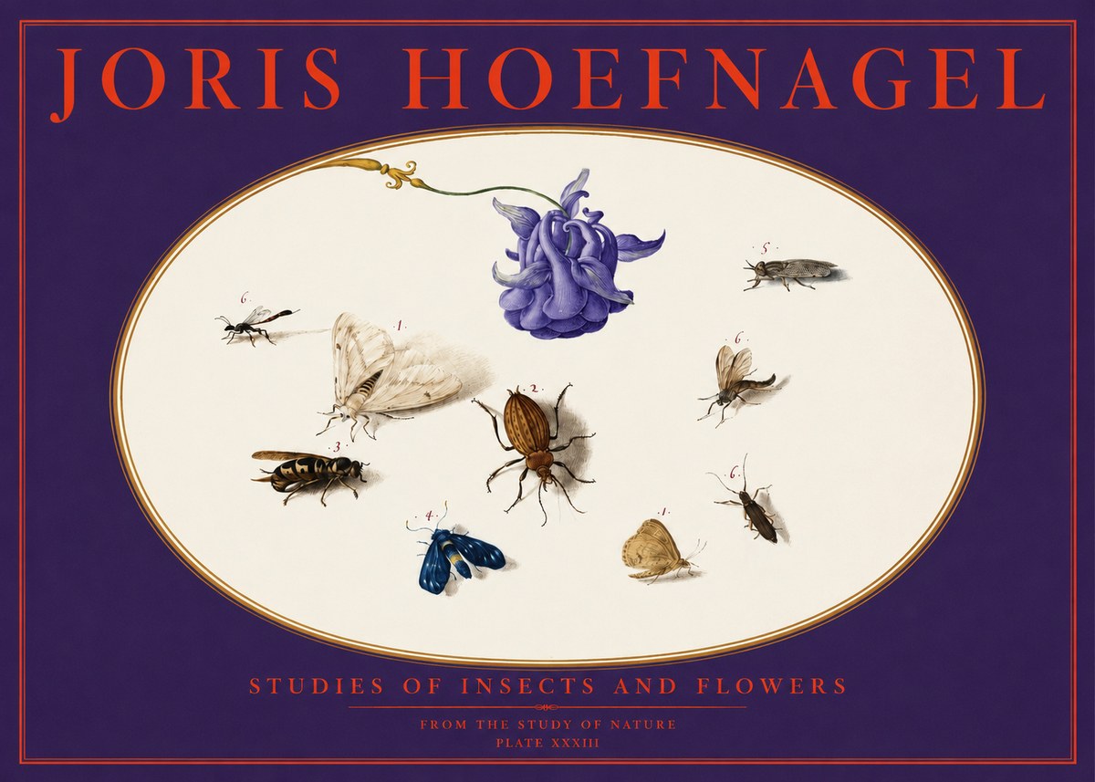Joris Hoefnagel Studies of Insects and Flowers No6 - Poster