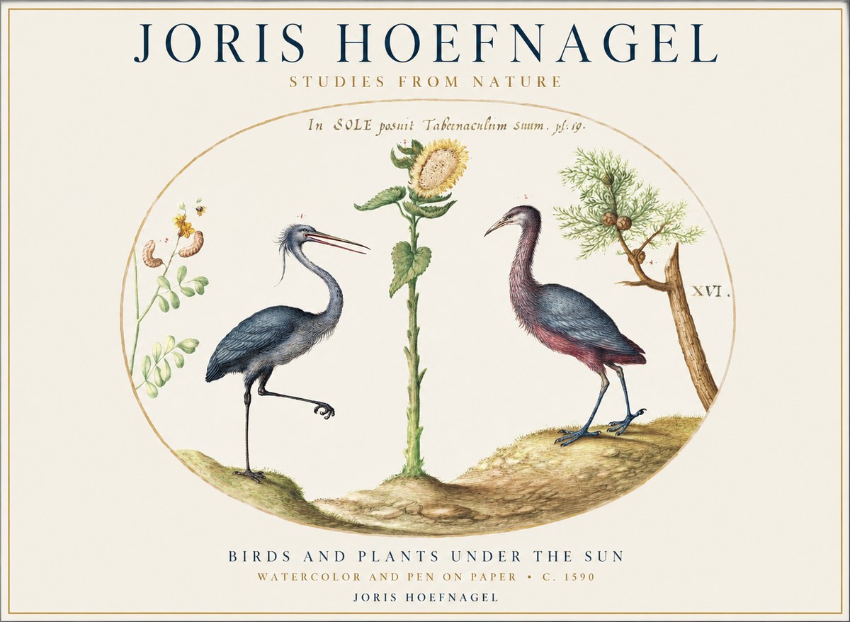 Joris Hoefnagel Birds and Plants Under the Sun No1 - Poster