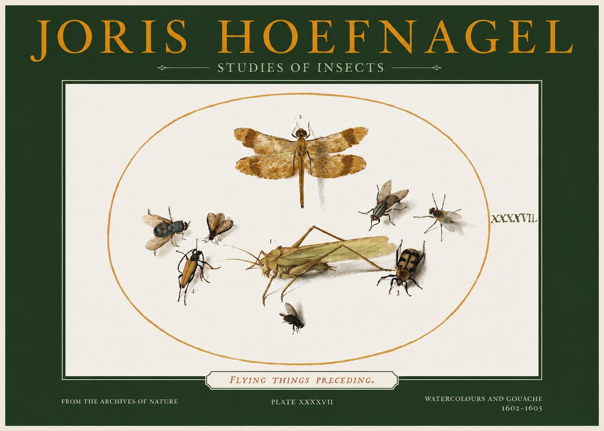 Joris Hoefnagel Flying Things Preceding. No2 - Poster