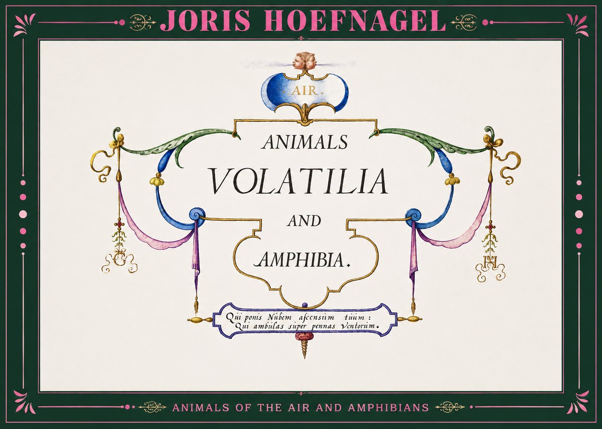 Joris Hoefnagel Animals Volatilia and Amphibia. No2 - Poster