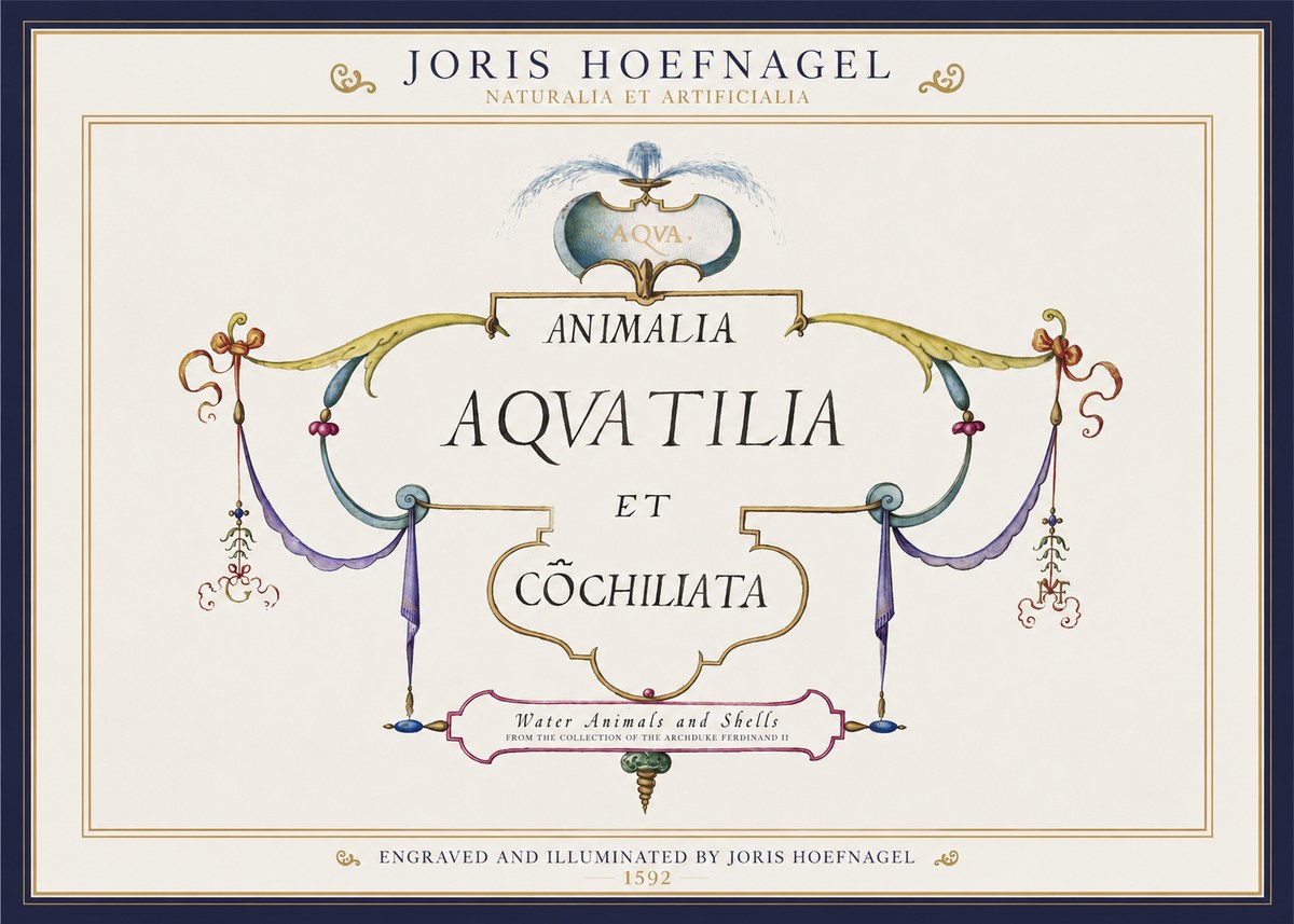 Joris Hoefnagel Animalia Aquatilia Et Cochiliata No1 - Poster