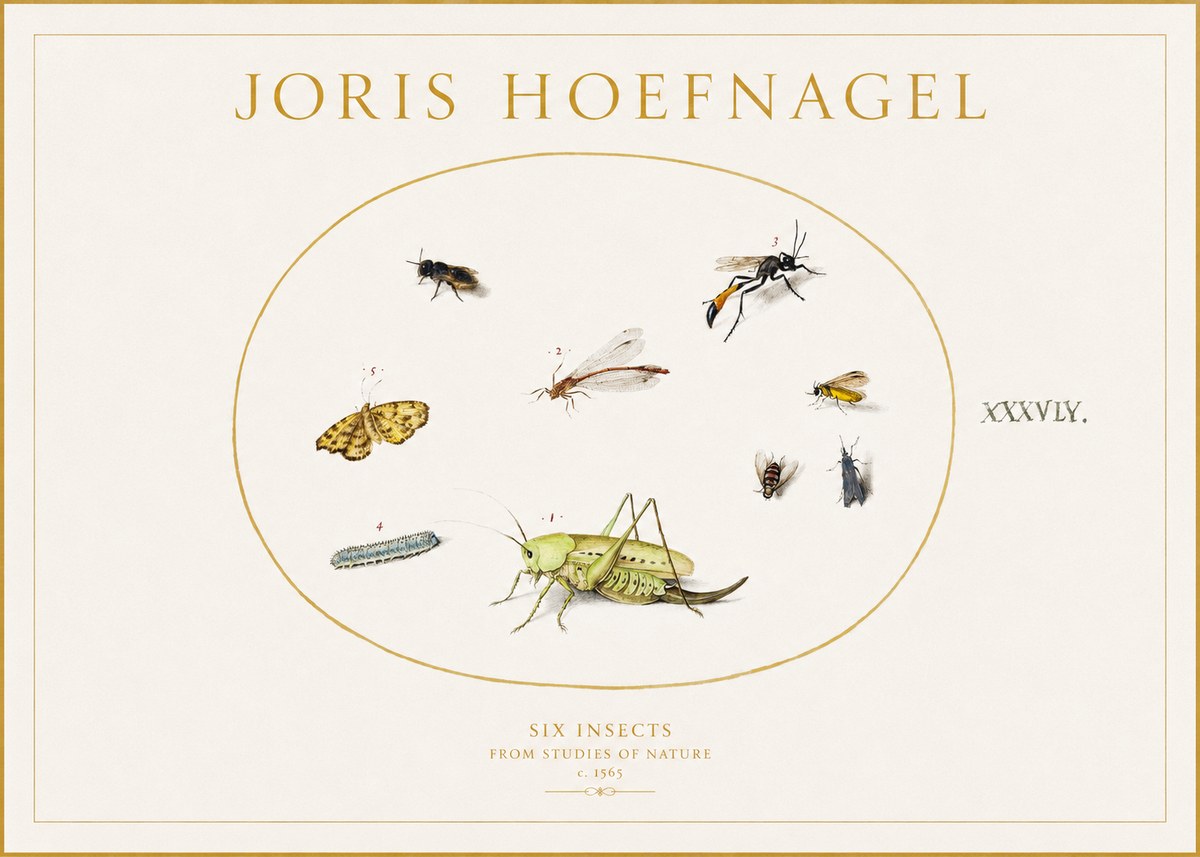 Joris Hoefnagel Six Insects from Studies of Nature C. 1565 No1 - Poster