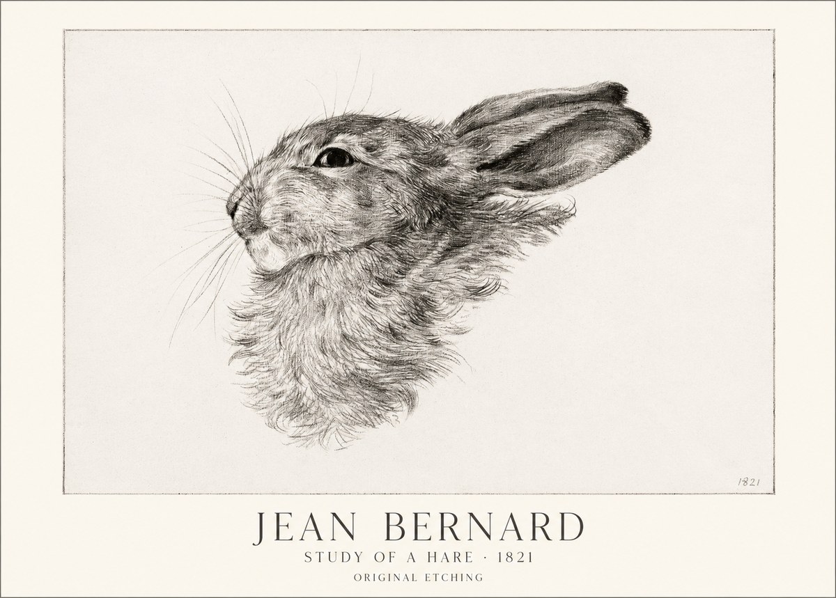 Jean Bernard Study of a Hare No1 - Poster
