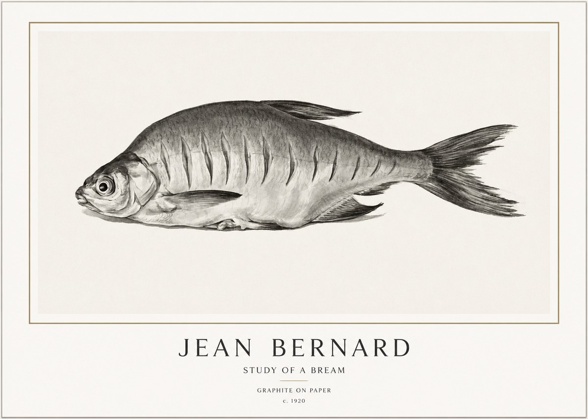 Jean Bernard Study of a Bream No1 - Poster